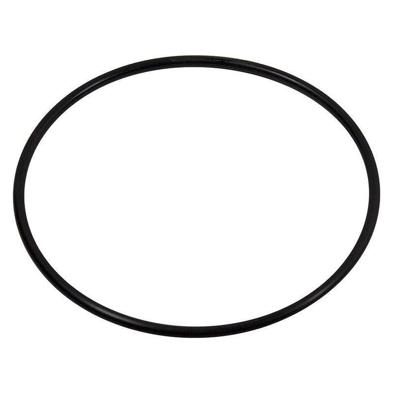O-Ring For Nissan Patrol GQ Y6 - Tank O-Ring Seal review and price